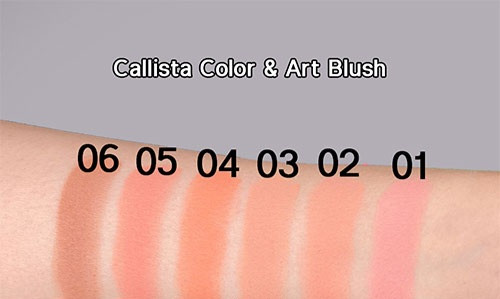 رژگونه کالیستا Color And Art شماره B02